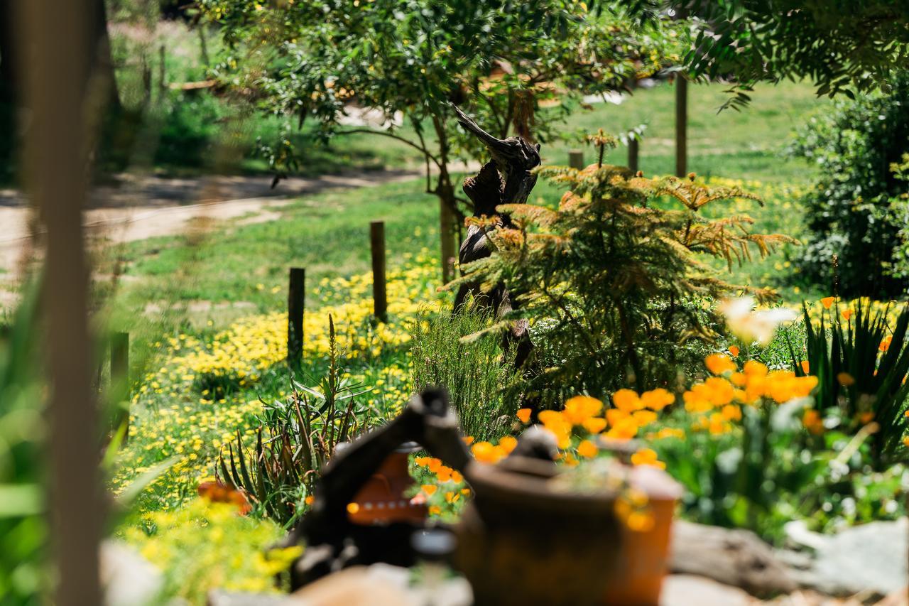 Riverlane Resort เกอร์นวิลล์ ภายนอก รูปภาพ