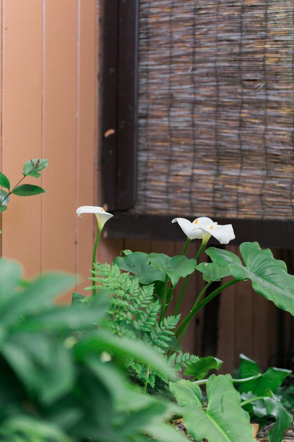 Riverlane Resort เกอร์นวิลล์ ภายนอก รูปภาพ
